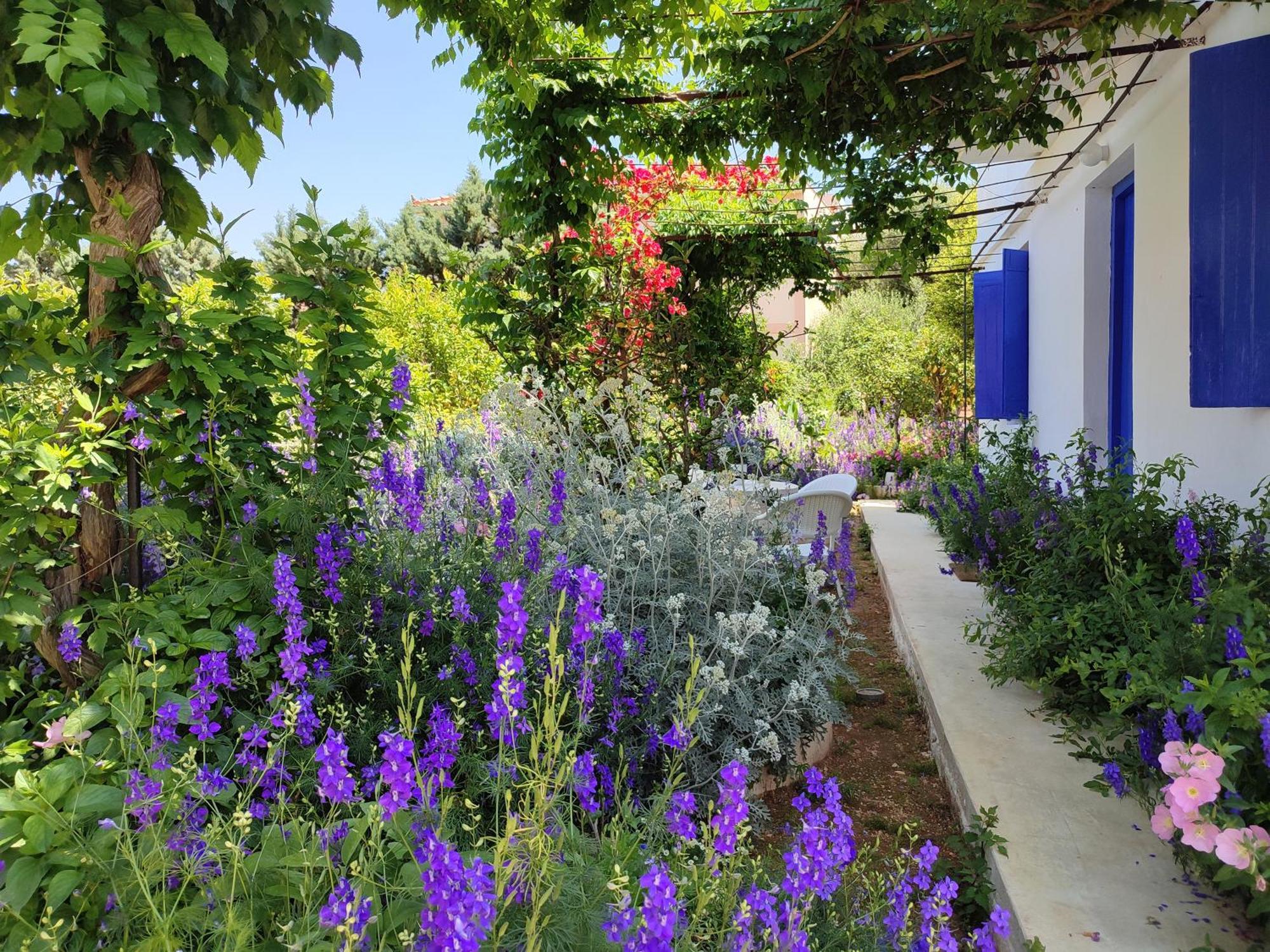 Villa Anticlea II Vathy  Exterior foto