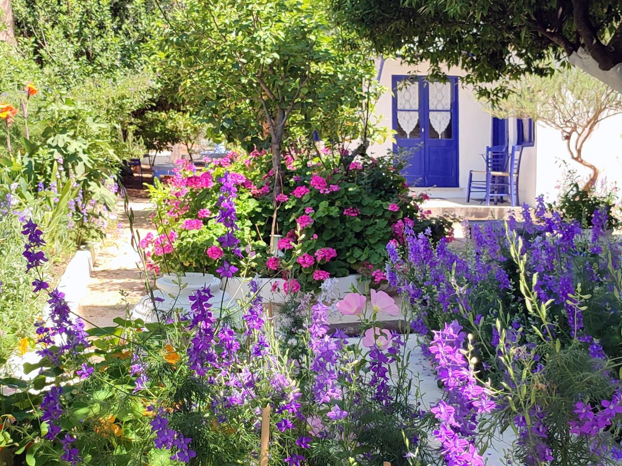 Villa Anticlea II Vathy  Exterior foto
